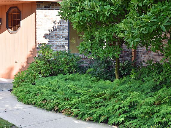 5th image of 728 Willow Ln