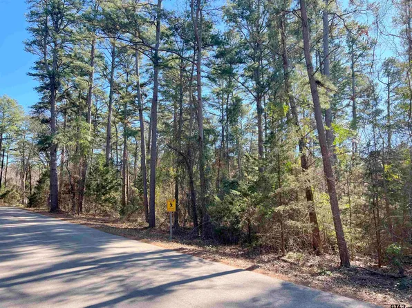 County Road 4550, Winnsboro, TX 75494