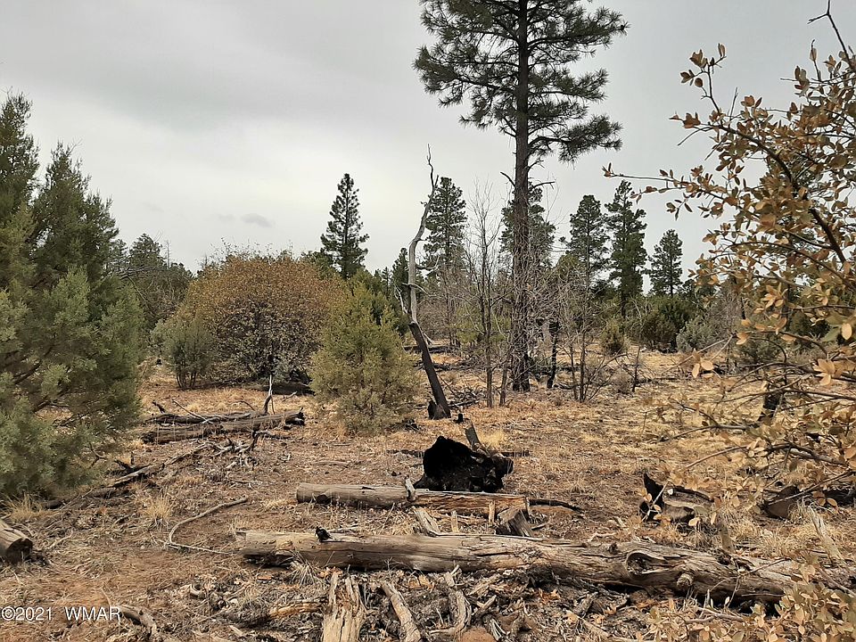1st image of 2031 Ponderosa Trl
