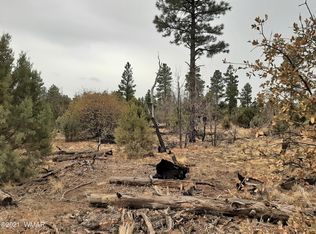 2031 Ponderosa Trl, Overgaard, AZ 85933