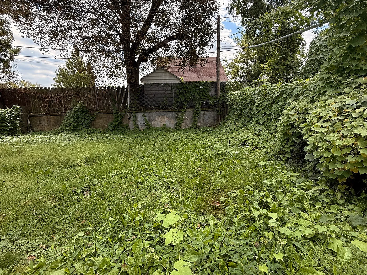 2 bed, 980 sqft, $1,300 — Photo 3