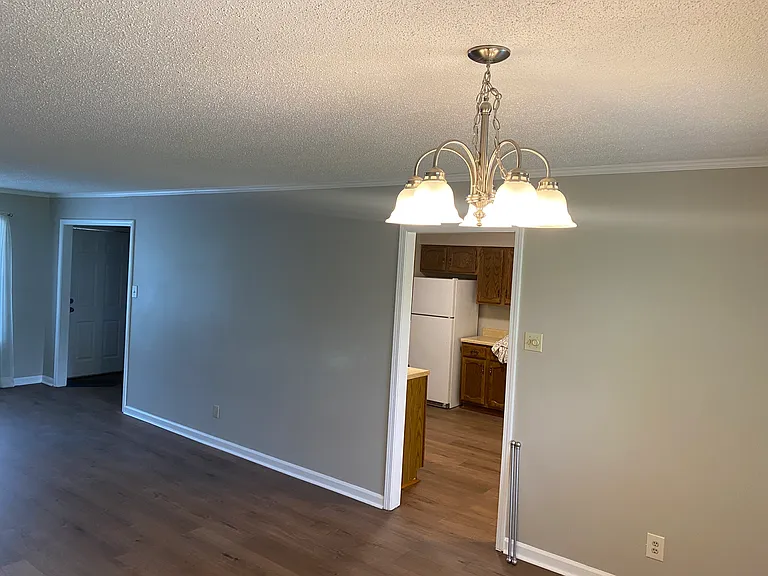 1510 Carowinds Cir — Photo 9