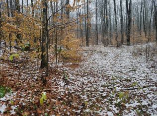 Binder Road Parcel #11, Elmira, MI 49730