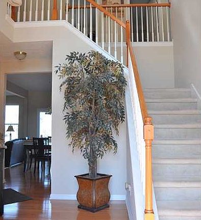 2nd image of 560 Stafford Dr