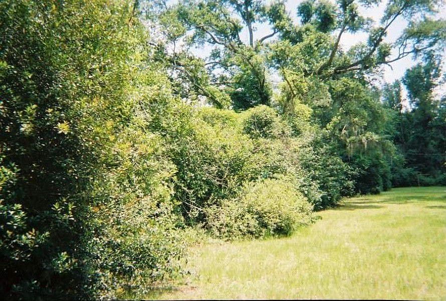 1st image of Rheusaw Crawford