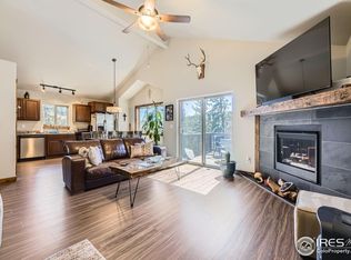 204 Virginia Rd, Bailey, CO 80421