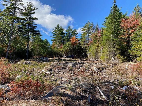 4th image of Lot 25a-2 Mother Bush Trail