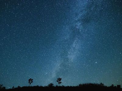 3549 Wesley St, Culver City, CA, 90232