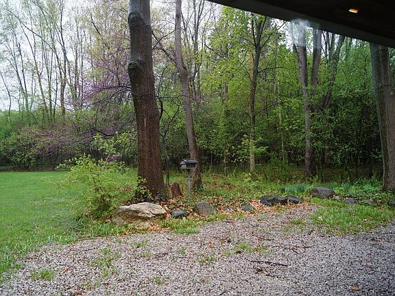 Back Yard photo 1