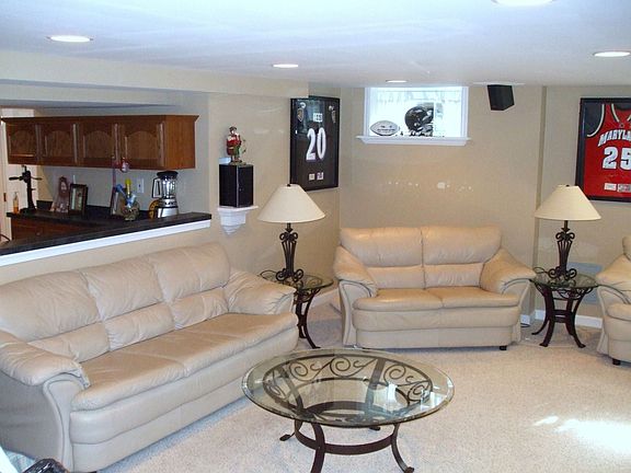 Custom Basement