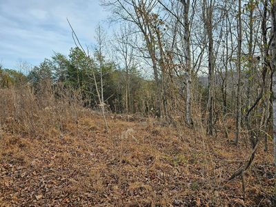1369AC Ward Ln, Washburn, TN, 37888