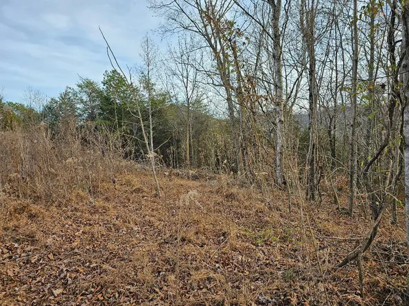 1369AC Ward Ln, Washburn, TN 37888