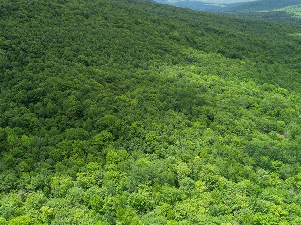 Map 402 Lot 7 Road, Rumford, ME 04276