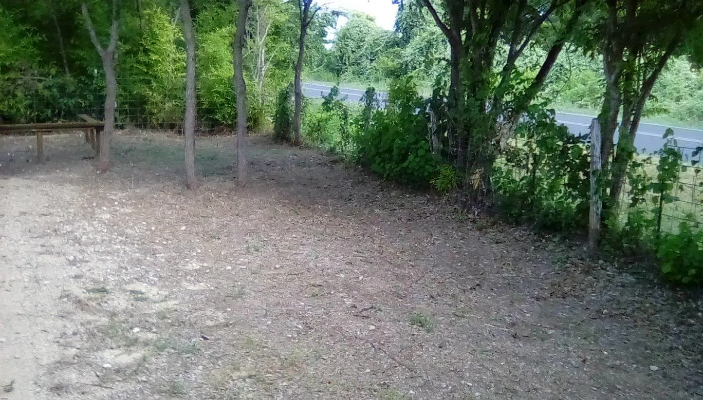 2 bed, 1200 sqft, $1,600 — Photo 2