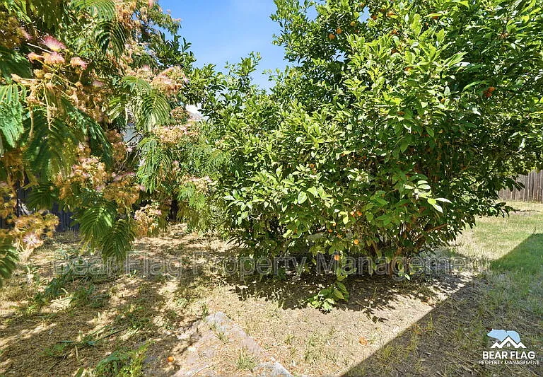 1312 Mission Dr — Photo 33