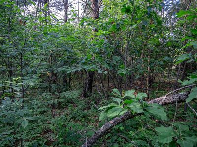 Lot 188 Mallard Drive #188, New Lisbon, WI, 53950