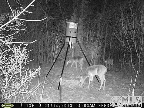 1st image of 141 County Road 4599