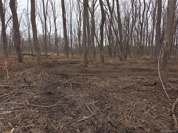 PARCEL Cullen Rd #C, Hartland, MI 48353