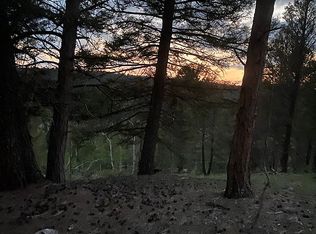 349 John Dr, Divide, CO 80814