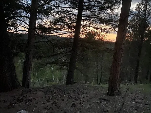 349 John Dr, Divide, CO 80814