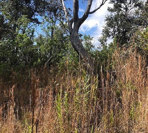 5th image of 92-1776 Sea Breeze Pkwy Lot 5