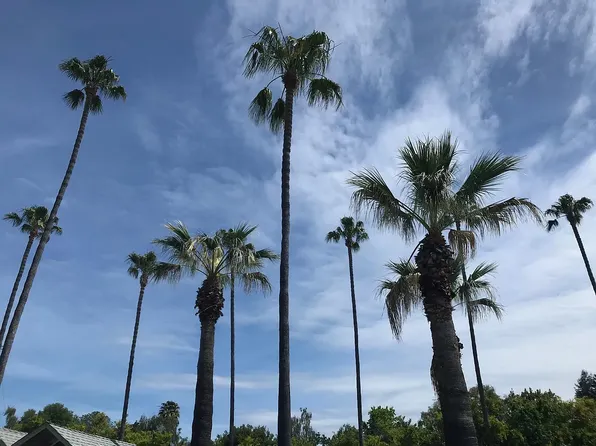Fernmar Apartments, 210 Easy St #061c1ef5c, Mountain View, CA 94043