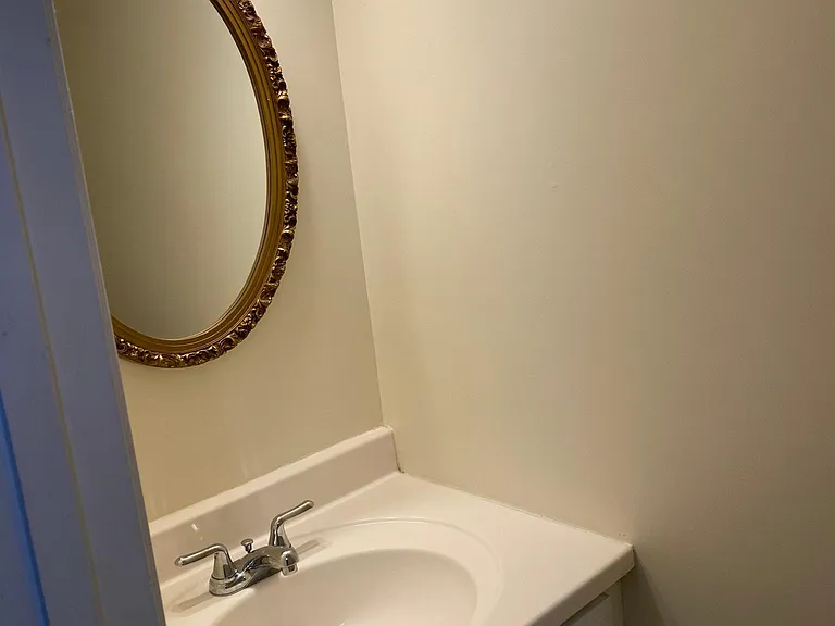 14316 Watery Mountain Ct — Photo 9