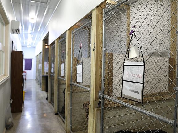 4th image of 232 Mine Branch Rd