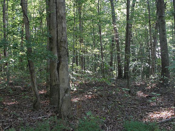 4th image of 0 Lonesome Pine Rd Lot 226