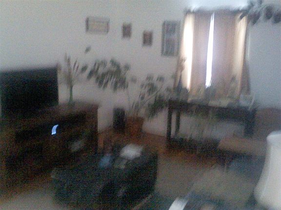 4th image of 374 W 17th St