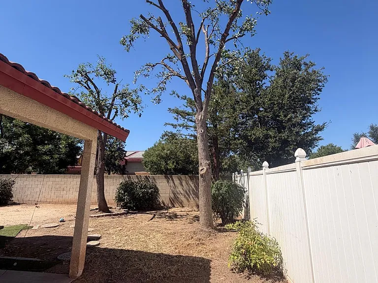 1916 E Richmond Ave — Photo 5