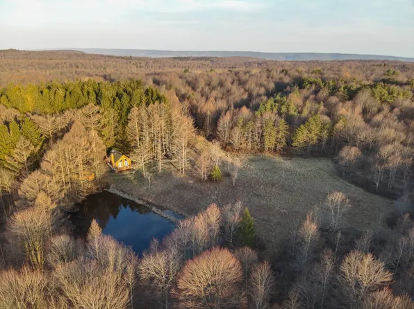 487 Wildberry Ln, Canton, PA 17724