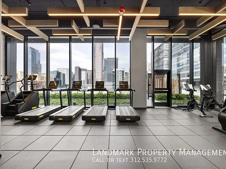234 W Polk St #2508 — Photo 33