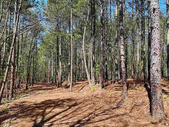 3rd image of 87 Woodland Springs Dr