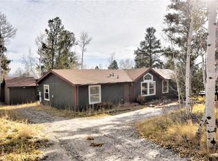 42 Ore Ln, Fairplay, CO 80440