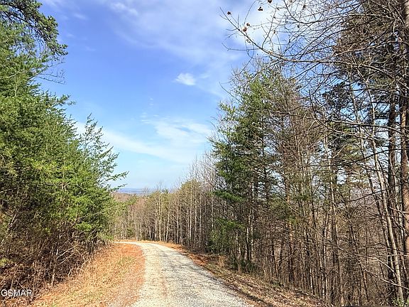 2nd image of 0 Trentham Rd