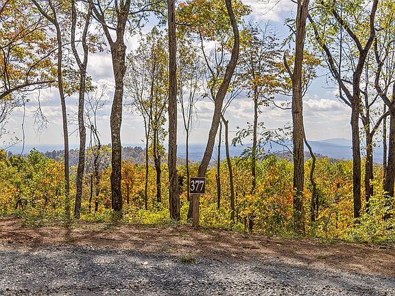 4th image of 377 Calloway Mountain Rd
