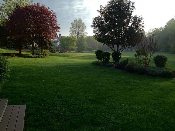 from back porch
