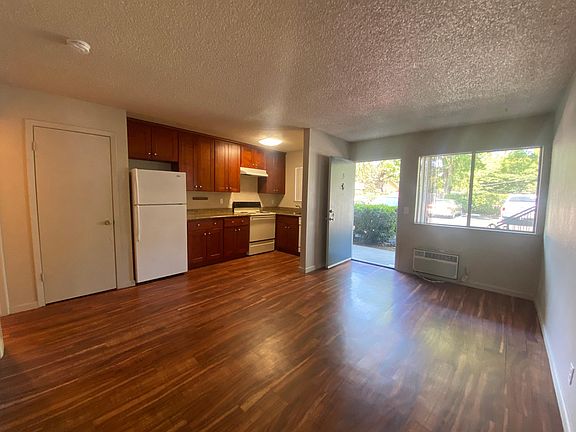 Living room and kitchen