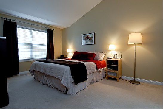 Master Bedroom With Vaulted Ceiling
