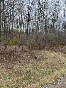 One Mile Rd, Dunbar, WI, 54119