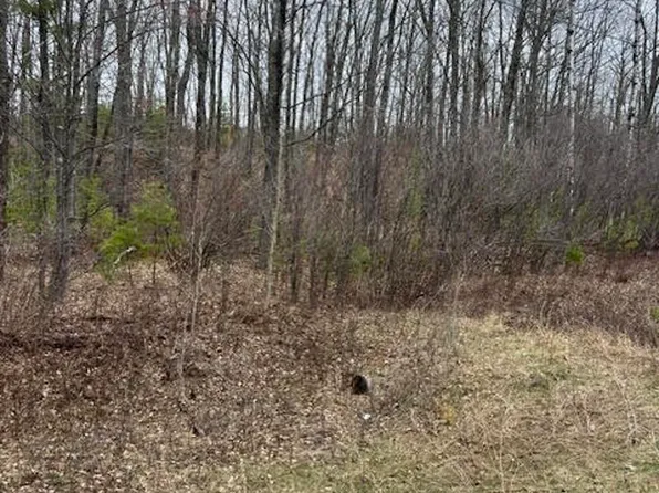 One Mile Rd, Dunbar, WI 54119