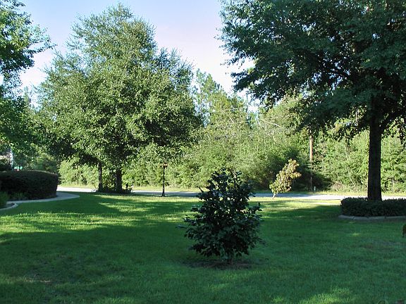 Corner Extensive landscape