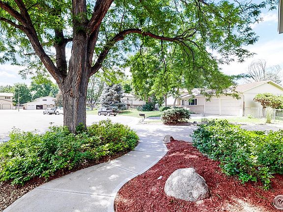 3rd image of 2912 Ringneck Dr