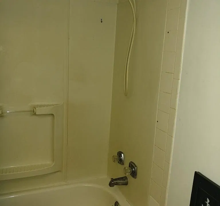 Tub with Shower