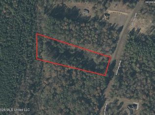 Sleepy Hollow Rd, Terry, MS 39170