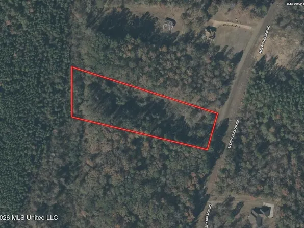 Sleepy Hollow Rd, Terry, MS 39170