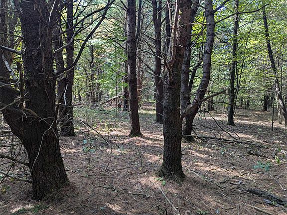 2nd image of 5330 118th Ave