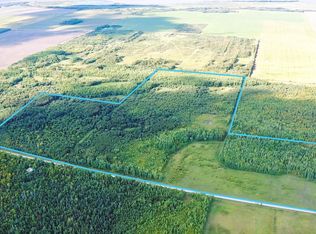 8324 60th St NW, Williams, MN 56686