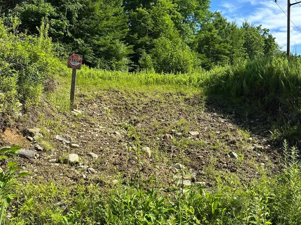 Lot 020 Canton Mountain Road, Jay, ME 04239